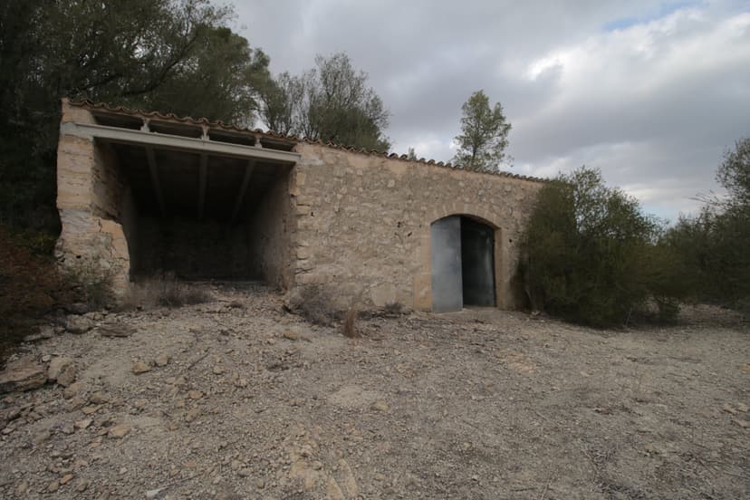 Imagen 3