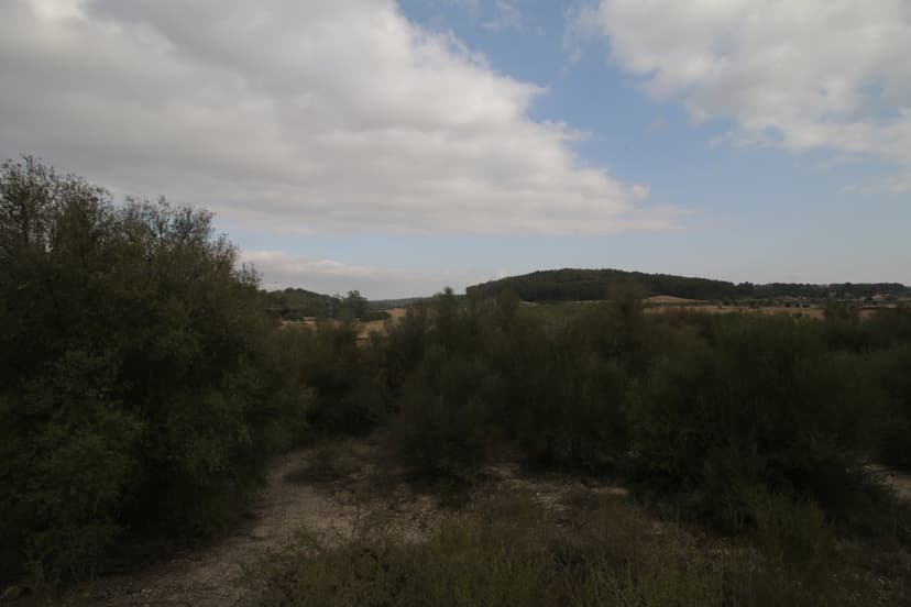 Imagen 18