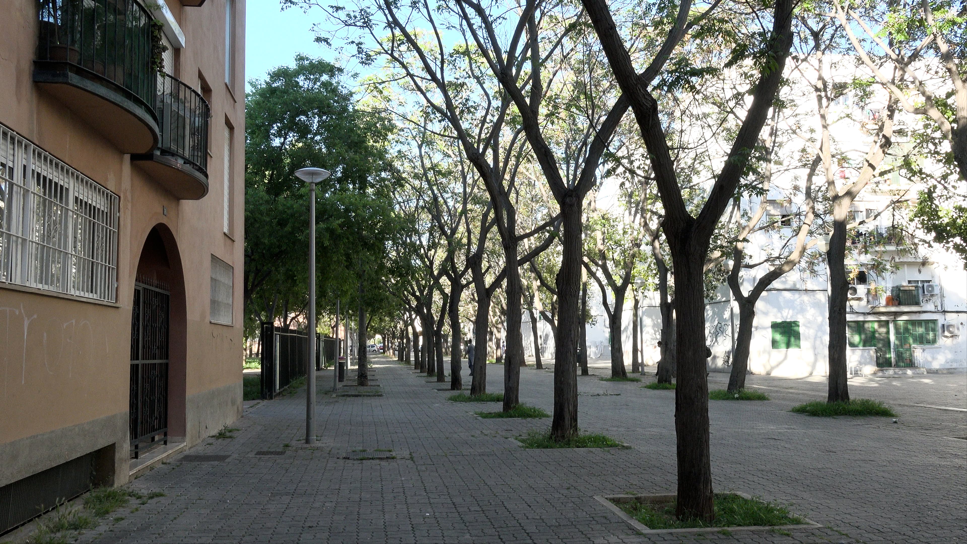 Imagen 2